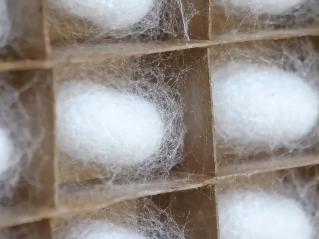 Uzbekistan: dove la Via della Seta nasconde il ghiaccio nel deserto